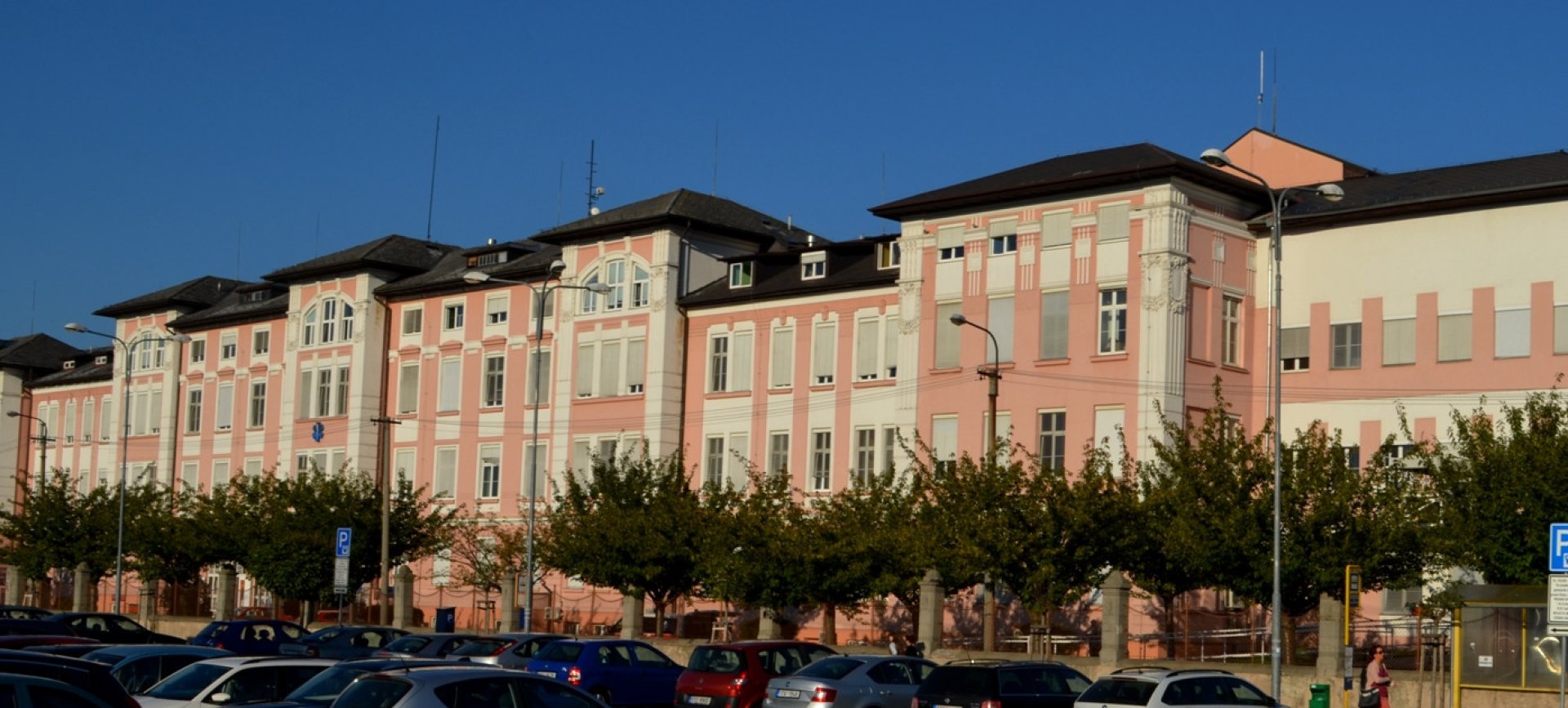 Chtěl zachránit život zmiji, kousla ho