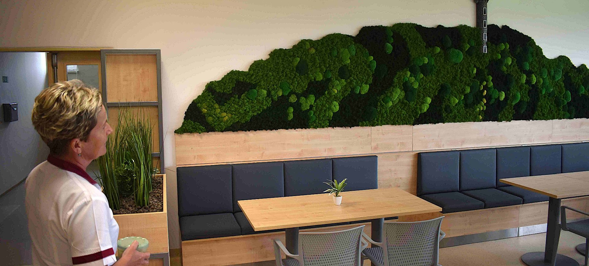 Bufet v krnovské nemocnici zdobí kopec Cvilín z mechu i s rozhlednou