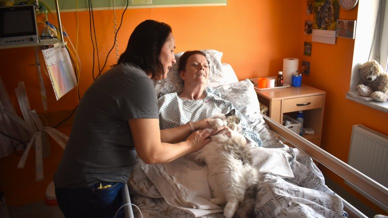 Felinoterapie s kočkou Elis v krnovské nemocnici. 