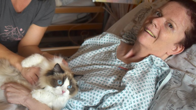 Felinoterapie s kočkou Elis v krnovské nemocnici. 