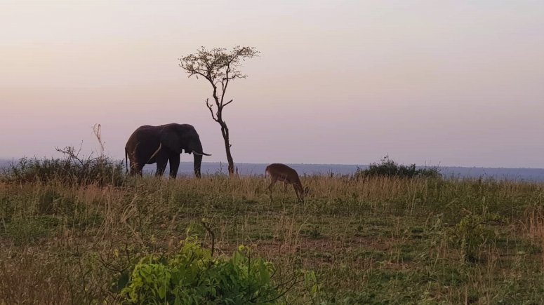 Ambulance cestovní medicíny.