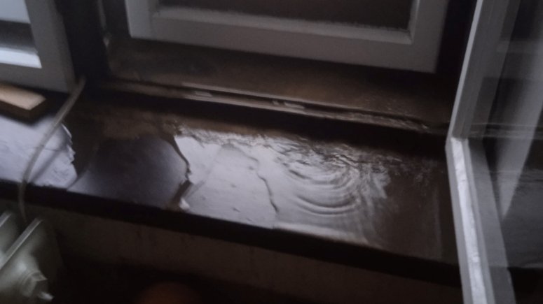 Sbírka na pomoc zaměstnancům. 