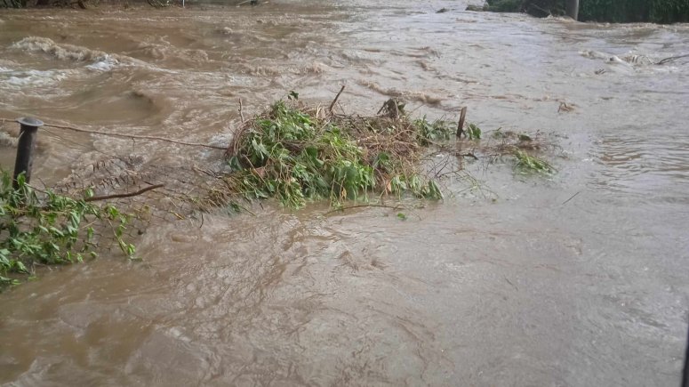 Povodňová sbírka pro zaměstnance.