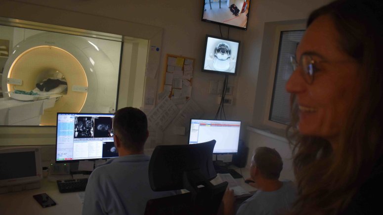 magnetická rezonance a urologie