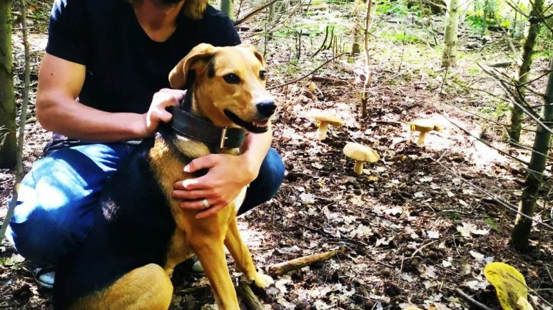 Výzva pacienta encefalitida