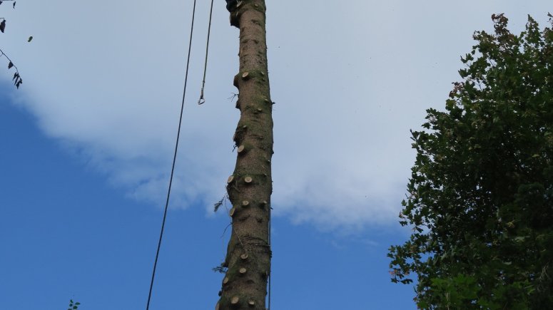 Výzva pacienta encefalitida